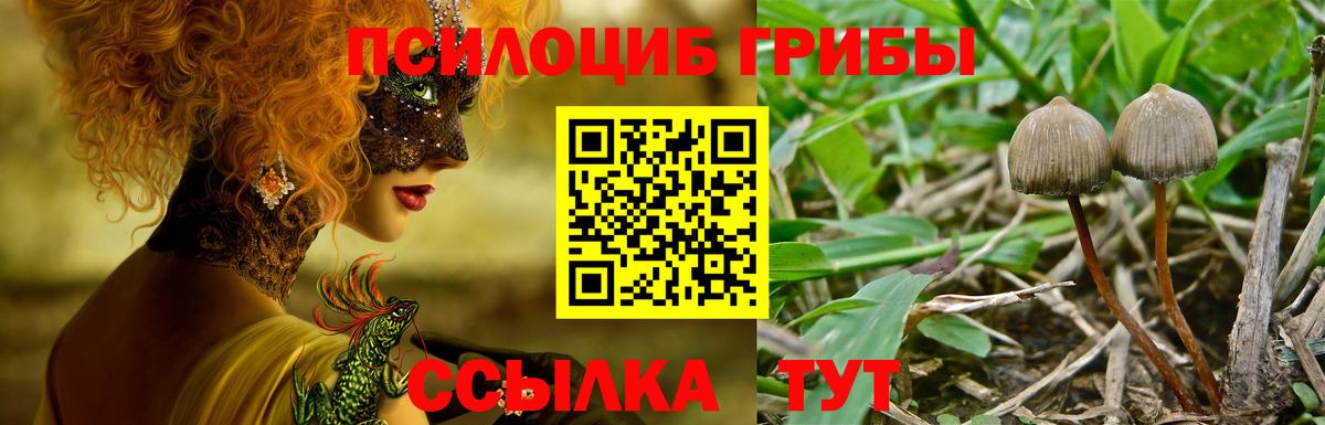 Псилоцибиновые грибы Magic Shrooms  Вход с VPN  Галлюциногенные грибы MAGIC MUSHROOMS  Сибай 